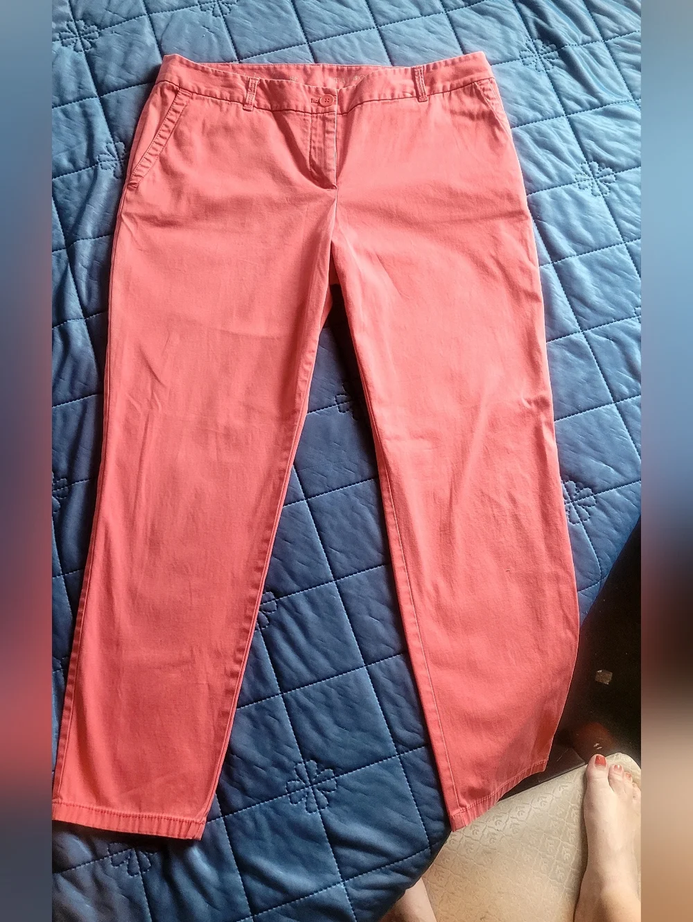 Talbots Coral Pink Straight-Leg Ankle Pants Size 8P